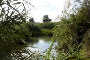 Paterna reduce en un 90% la contaminación de las aguas residuales industriales