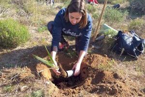 La concejala de Medio Ambiente de Elche colabora en la reforestación del Clot junto a una treintena de personas