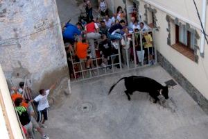 Els bous al carrer tienen un impacto económico de 148,8 millones en la Comunitat Valenciana