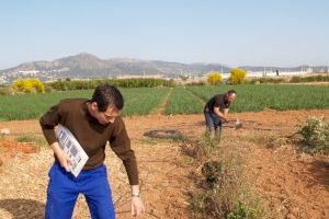 LA UNIÓ presenta más de 150 acciones en clave agraria y rural a la Estrategia Valenciana de Cambio Climático y Energía Horizonte 2030