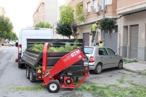 Mantenimiento de Ciudad inicia la campaña anual de poda en Novelda