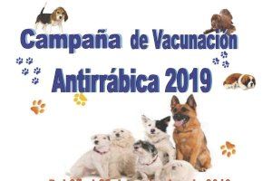 Sanidad anuncia la Campaña de Vacunación Antirrábica 2019 en Altea