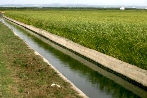 El Consell expresa su satisfacción por el reconocimiento de la FAO al Regadío Histórico de l'Horta de Valencia