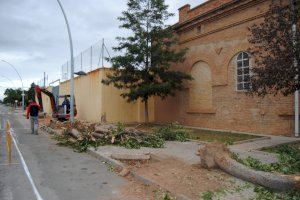 Servicios Públicos actúa en el entorno del colegio Virgen del Carmen de Vila-real dentro del plan de mejora de la seguridad en los accesos a centros educativos