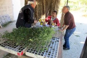 El Ayuntamiento de Elda abre el plazo para la solicitud de los 37 huertos ecológicos municipales