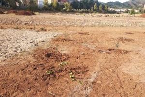 L’Ajuntament de la Vall d’Uixó i l’IES Botànic Cavanilles continuen amb la recuperació de part del riu Belcaire - (foto 2)