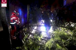 Les pluges causen la caiguda d'un arbre sobre un cotxe a Almassora