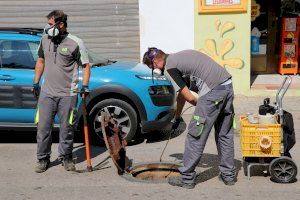 Els tractaments contra plagues d'insectes que du a terme la delegació de Sanitat continuen la setmana vinent