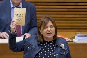 Bonig: “Puig cau en la irresponsabilitat en parlar de federalisme en lloc de defensar la Constitució i el que ens uneix”