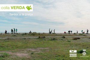 La Colla Verda convoca la ciutadania a la tercera plantació de flora dunar