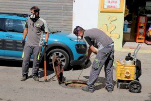 Los tratamientos contra plagas de insectos que lleva a cabo la delegación de Sanidad de Sagunto continúan la próxima semana