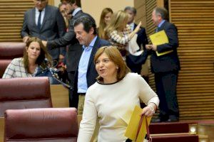 Bonig anuncia que el PP pone sus servicios jurídicos a disposición de la comunidad educativa para presentar recursos por la imposición lingüística