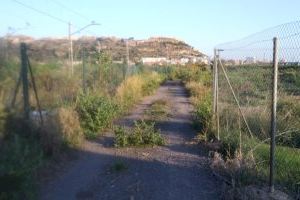 El Consell Agrari de Sagunto contrata a cinco desempleados agrarios para realizar actuaciones medioambientales en el camí dels Rolls