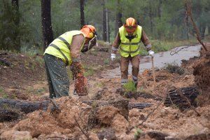 La Diputació de València refuerza la prevención de incendios con la contratación de 47 nuevos brigadistas forestales