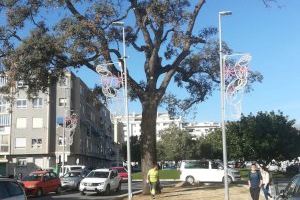El informe de evaluación de la carrasca del Pati Fosc de la Vila Joiosa propone una serie de medidas a adoptar para su recuperación - (foto 2)