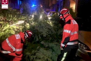 Castellón continúa en alerta  tras una jornada marcada por las incidencias por viento