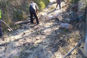 Xàtiva coordina un dispositivo para resolver las incidencias provocadas por el fuerte viento del fin de semana - (foto 4) Xàtiva coordina un dispositivo para resolver las incidencias provocadas por el fuerte viento del fin de semana - (foto 4)