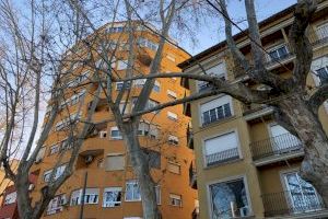 Xàtiva coordina un dispositivo para resolver las incidencias provocadas por el fuerte viento del fin de semana - (foto 6) Xàtiva coordina un dispositivo para resolver las incidencias provocadas por el fuerte viento del fin de semana - (foto 6)