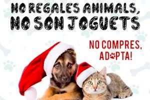 Per Nadal no compres animals, adopta!