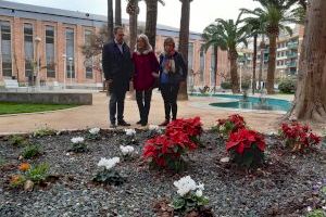 Finalitzen els treballs de regeneració del jardí de l’Auditori Pedro Mercader de Benicarló