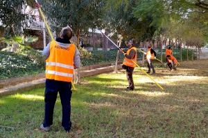 Valencia oferta cursos de jardinería, arte floral y medio ambiente