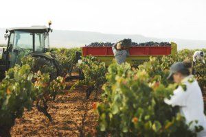 La DANA i la "desastrosa" campanya citrícola, principals preocupacions dels agricultors valencians