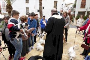 El sábado 18 será la “Bendición de Animales de Sant Antoni” en La Nucía