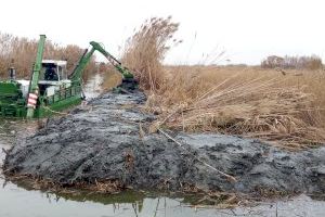 Arranca una neteja integral de l'Albufera en més de 6 quilòmetres de canals i sèquies