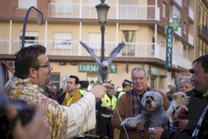 Así se vivirá la festividad de San Antonio Abad en Valencia