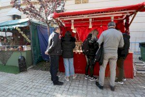 Los jardines de la Diputación de Alicante reciben la visita de más de 125.000 personas durante las fiestas de Navidad