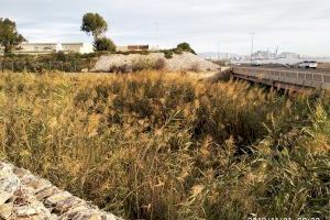 El Ayuntamiento de Alicante limpia cerca de un kilómetro de la desembocadura del barranco de Agua Amarga para prevenir avenidas