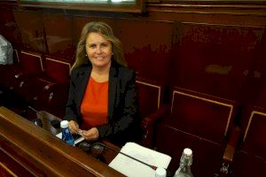 Cs en la Diputación reclama celeridad para abordar la carrera profesional tras quedar fuera de los presupuestos de 2020
