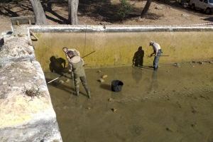 Es retiren les carpes exòtiques a les basses de la Murta