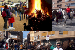 Utiel celebra la festividad de San Antonio con hogueras, bendición de animales y un multitudinario desfile de caballos y carruajes