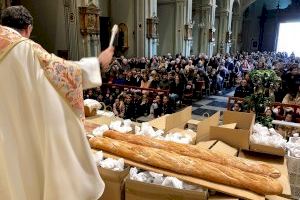 Almassora bendice a sus animales en la Matxà de Sant Antoni