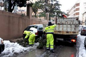 Ontinyent fa front als temporal «Gloria» amb 6 retroexcavadores i un dispositiu de prop de 100 persones