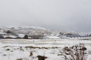 Atrapadas cinco personas en una casa rural de Bocairent