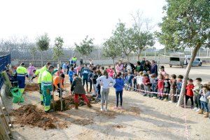 Paiporta celebra el Dia de l'Arbre amb plantacions i una exposició de cal·ligrames elaborats pels escolars