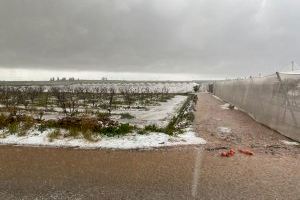 La borrasca Gloria causa unas perdidas de unos 24 millones para el campo valenciano