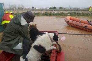 Rescates en Paterna y Alzira de vecinos atrapados por el temporal