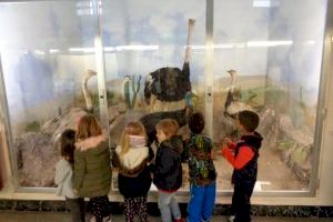 El museo de Ciencias Naturales el Carmen de Onda abre sus puertas de nuevo