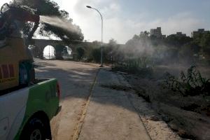 Medio Ambiente prevendrá las plagas de mosquitos y quironómidos en Orihuela con un Plan de Actuación anual