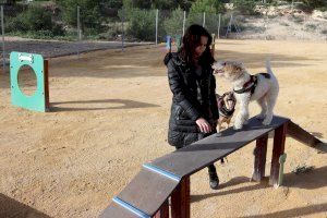 La Colonia Madrid amplía y mejora la zona de mascotas con un Benicán con espacio ‘Agility’ La Colonia Madrid amplía y mejora la zona de mascotas con un Benicán con espacio ‘Agility’