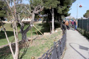La Colonia Madrid amplía y mejora la zona de mascotas con un Benicán con espacio ‘Agility’ - (foto 3) La Colonia Madrid amplía y mejora la zona de mascotas con un Benicán con espacio ‘Agility’ - (foto 3)