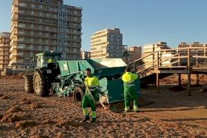 El Ayuntamiento de Elche envía a la Subdelegación del Gobierno la estimación de los daños del temporal