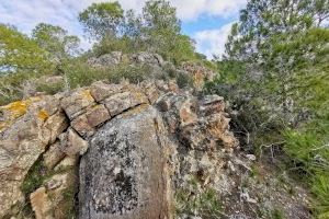 Benejúzar aprueba en el Pleno municipal el proyecto de ordenación del monte de Benejúzar