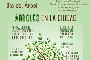 Medio Ambiente hace partícipe del Día del Árbol a los 12 colegios de San Vicente y repartirá un millar de plantones el 1 de febrero