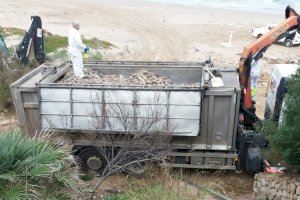 Retiran 25.000 kilos de pez muertos de las playas de Cullera