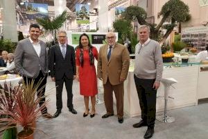 Una veintena de empresas valencianas de planta ornamental y floricultura participan en la feria más importante de Europa para ampliar sus mercados