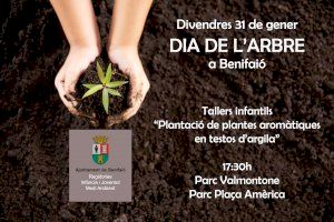 Benifaió celebrará el Día del Árbol  con la plantación de plantas aromáticas